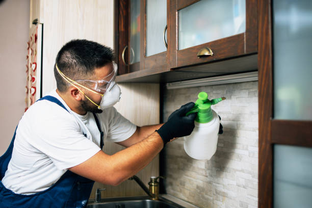 Pest Control Cost in Pittsburg, CA