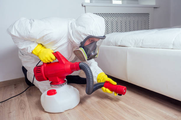 Best Insect Control  in Pittsburg, CA